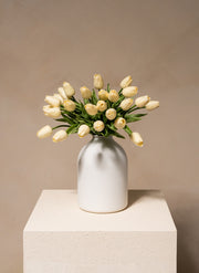 Tulip Bouquet - White (25 stems)