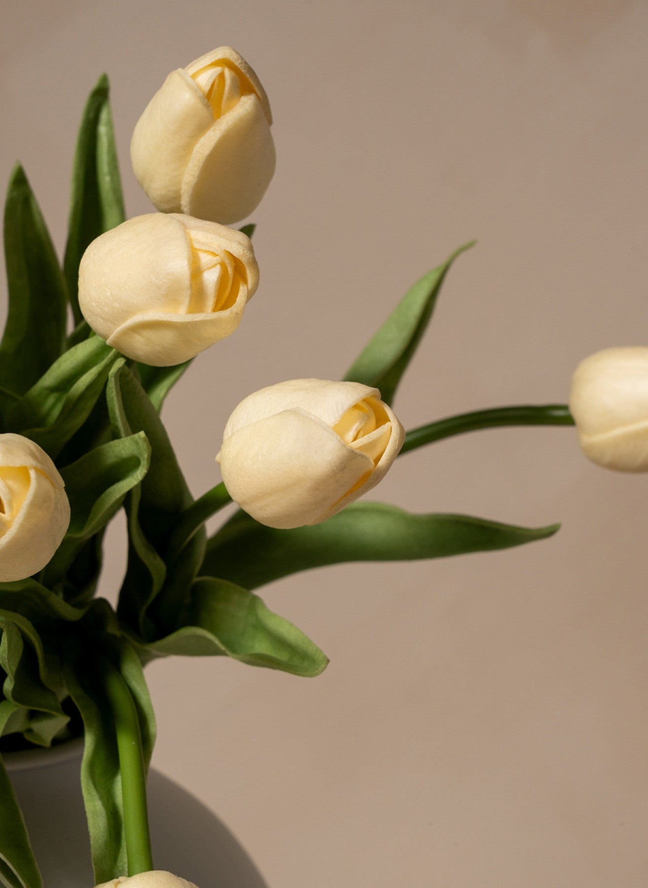 Tulip Bouquet - White (25 stems)