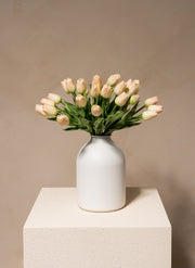 Tulip Bouquet - Old Pink (25 stems)