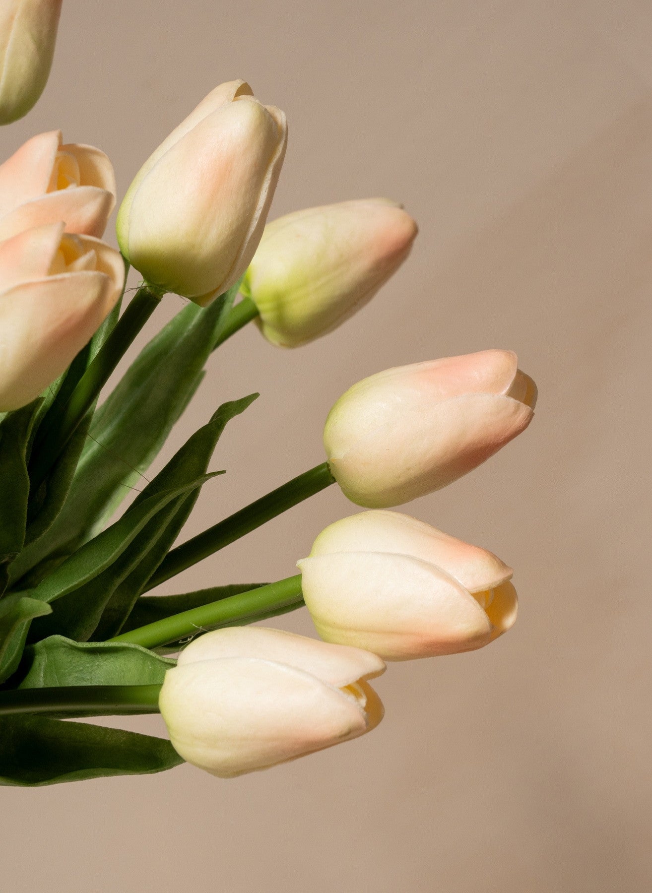 Tulip Bouquet - Old Pink (25 stems)