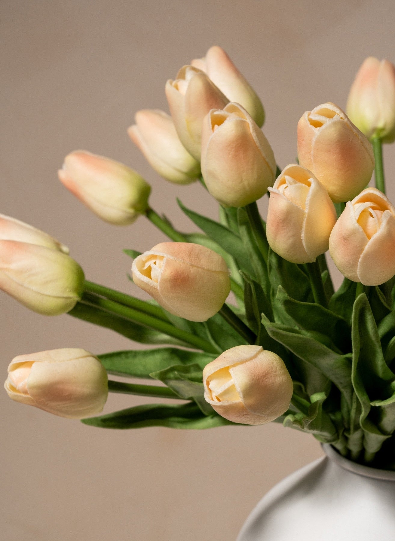 Tulip Bouquet - Old Pink (25 stems)